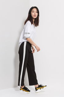 服装与纺织品 时尚与实用的完美融合