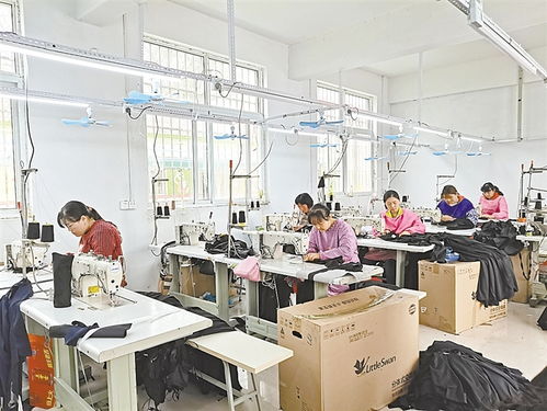 小小服装厂 扬帆出海，纺织品走向世界